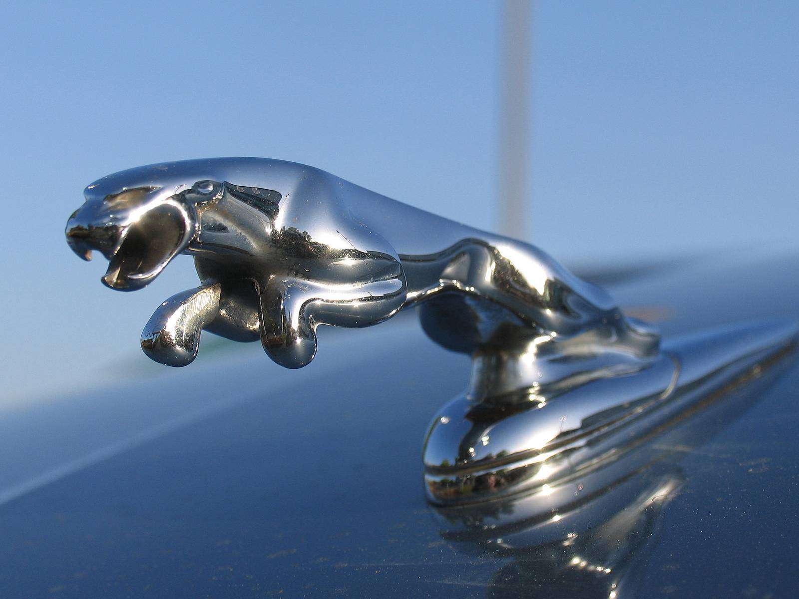 Jaguar Car Images To Download